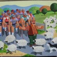 Sheep Vs Cyclists